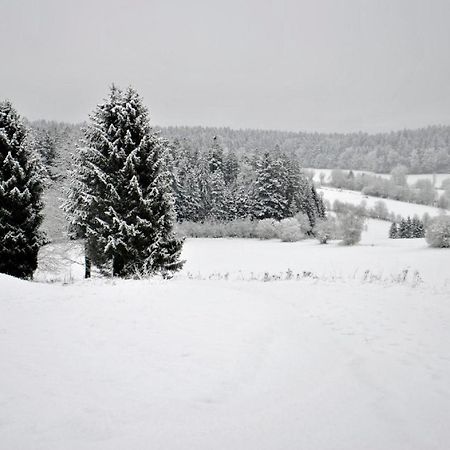 Appartamento Fewo Radi An Der Buchberger Leite Hohenau Esterno foto