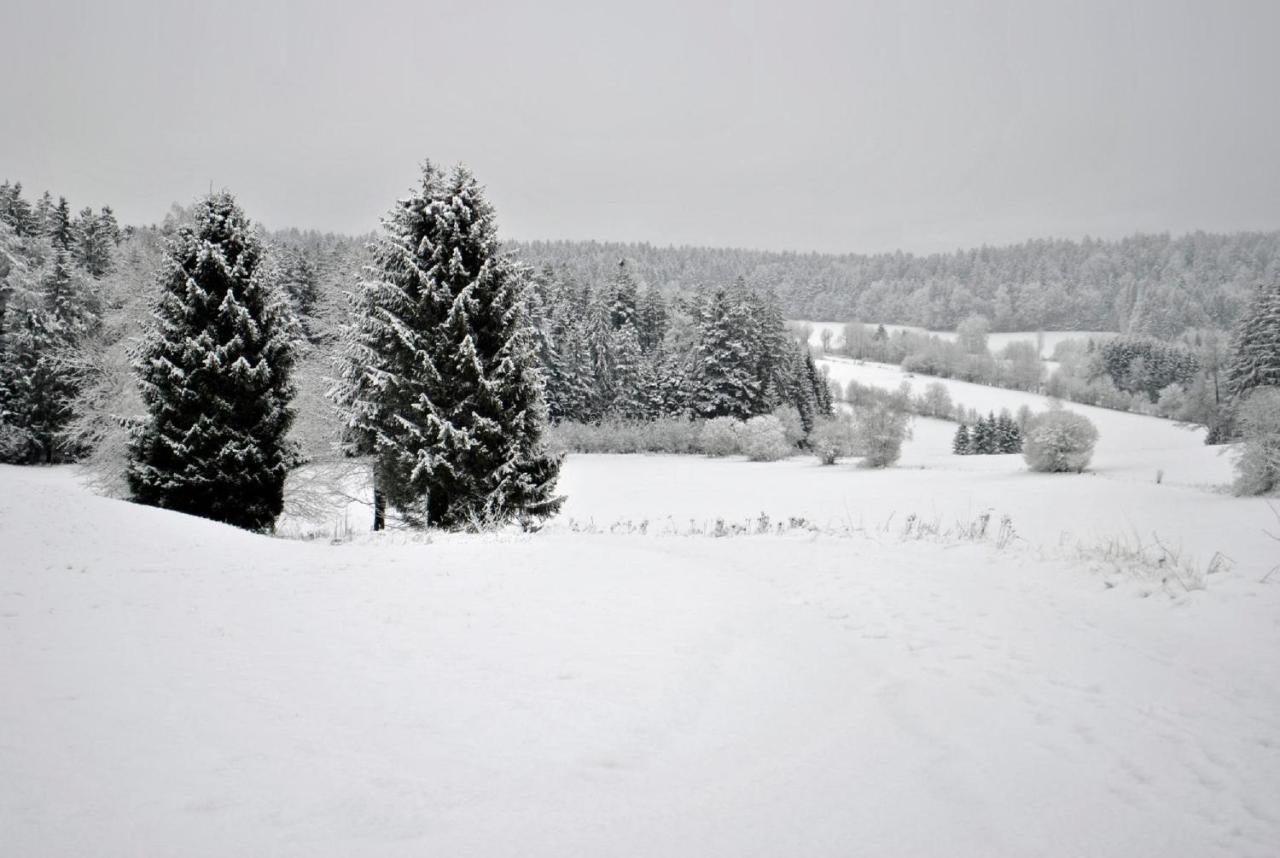 Appartamento Fewo Radi An Der Buchberger Leite Hohenau Esterno foto