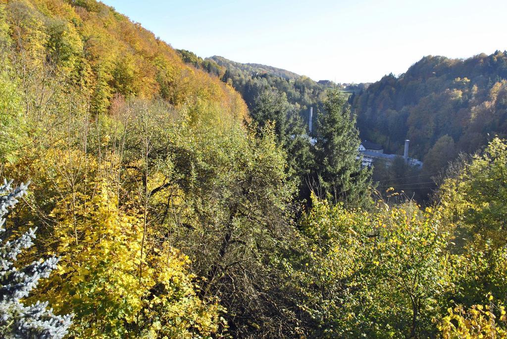 Appartamento Fewo Radi An Der Buchberger Leite Hohenau Esterno foto