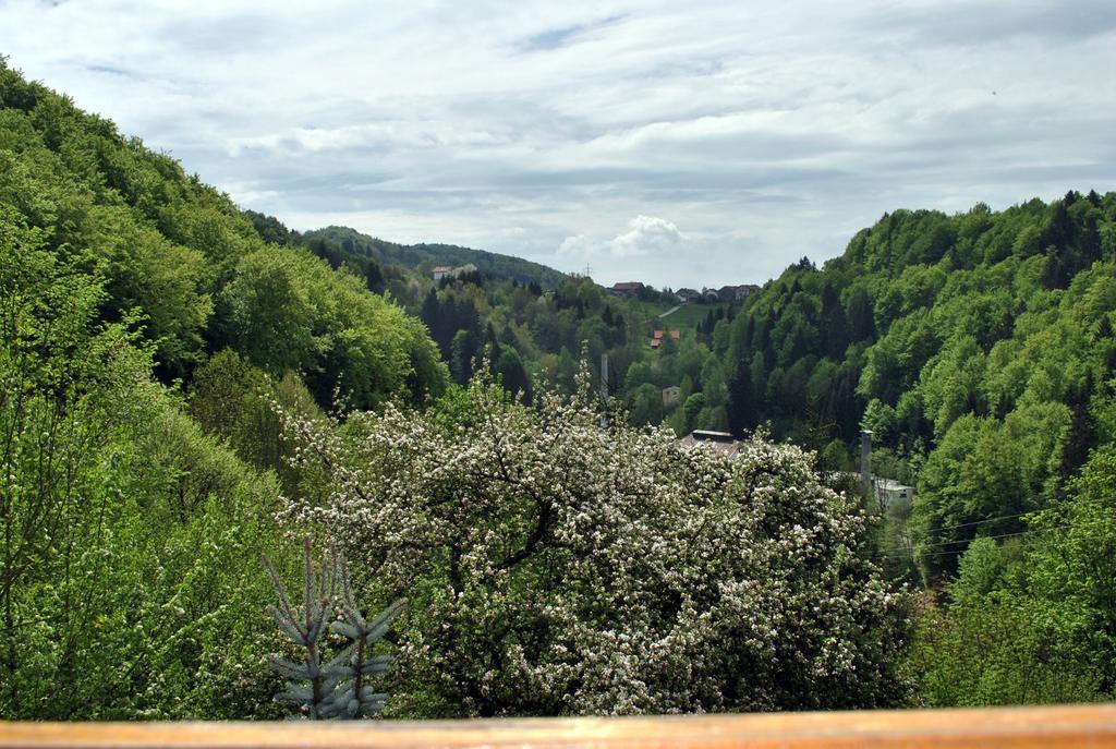 Appartamento Fewo Radi An Der Buchberger Leite Hohenau Esterno foto