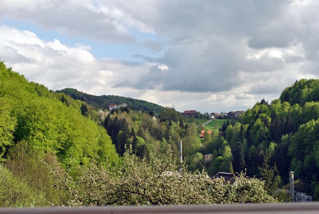 Appartamento Fewo Radi An Der Buchberger Leite Hohenau Esterno foto